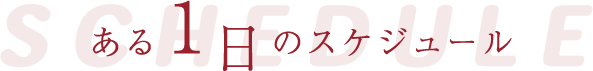 ある1日のスケジュール